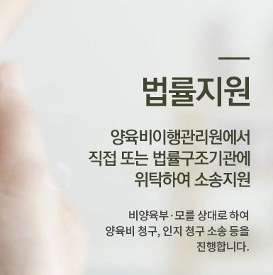 법률지원