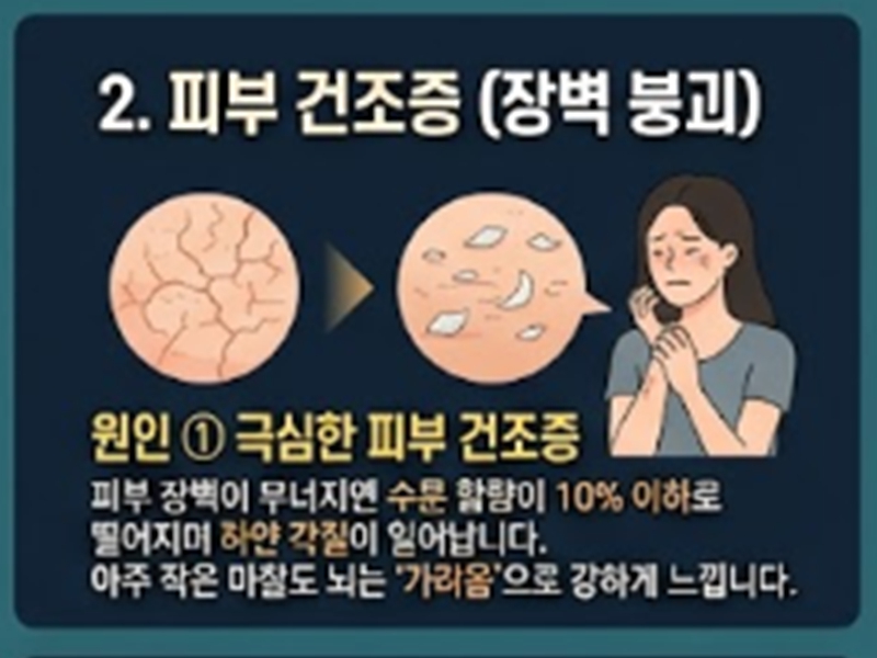 피부 가려움증의 원인