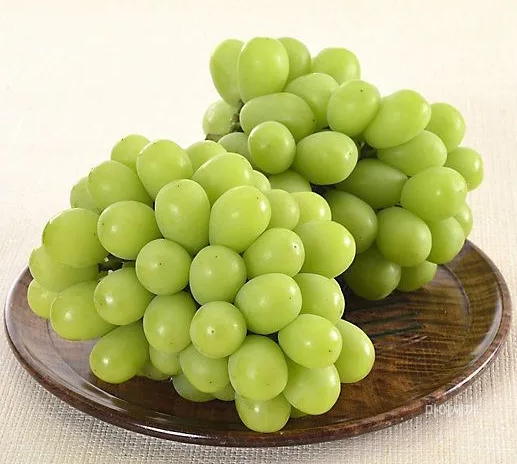 샤인머스켓 청포도 망고포도 샤인머스켓 2kg 가격 샤인머스켓 효능 보관방법 칼로리