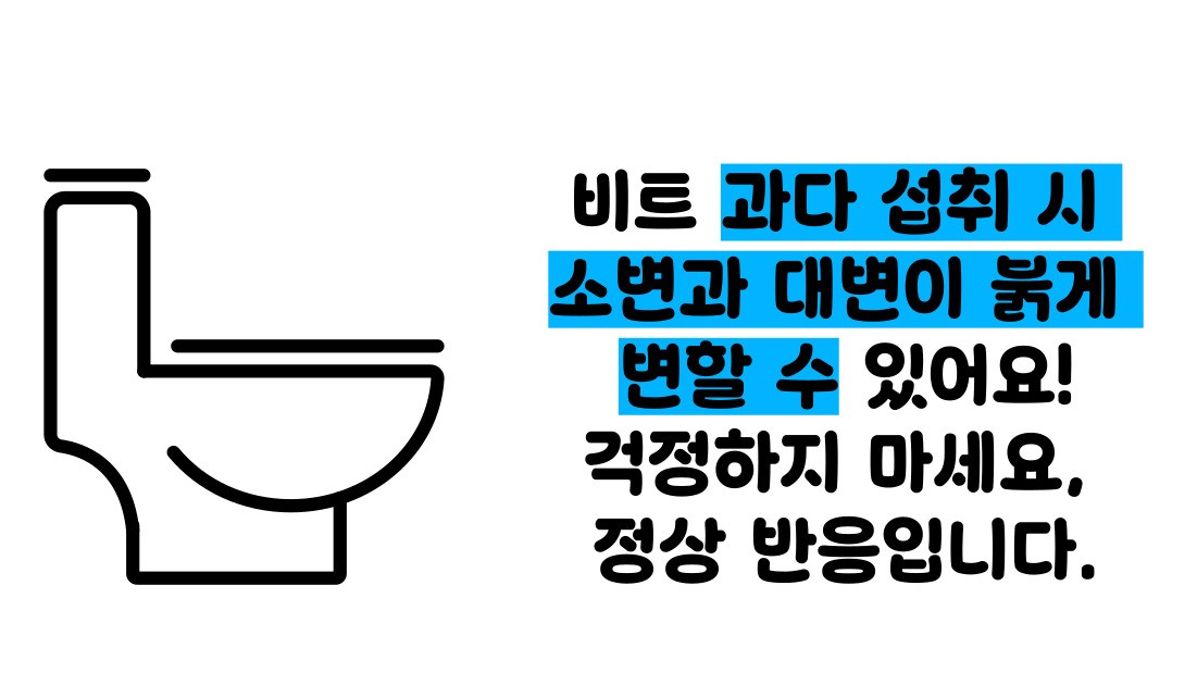 비트 효능 및부작용