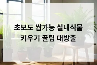 실내식물 초보 체크리스트 물주기 빛 습도 분갈이 한눈에 정리_14