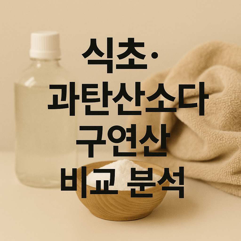 식초&middot;과탄산소다&middot;구연산 비교 분석