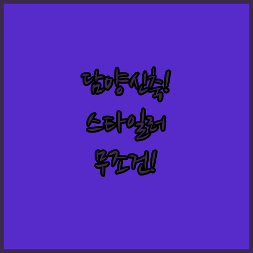 담양 가족 여행 숙소 추천 스타일러 ..