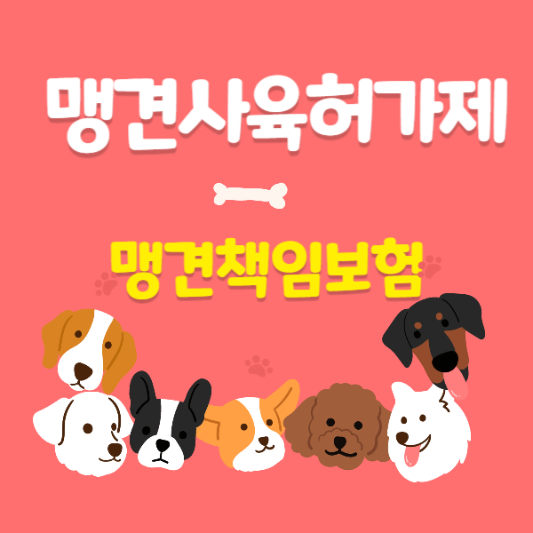 멩견사육허가제 삽화