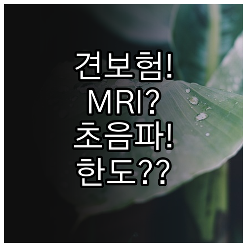 반려견 보험 영상검사 MRI 초음파 ..