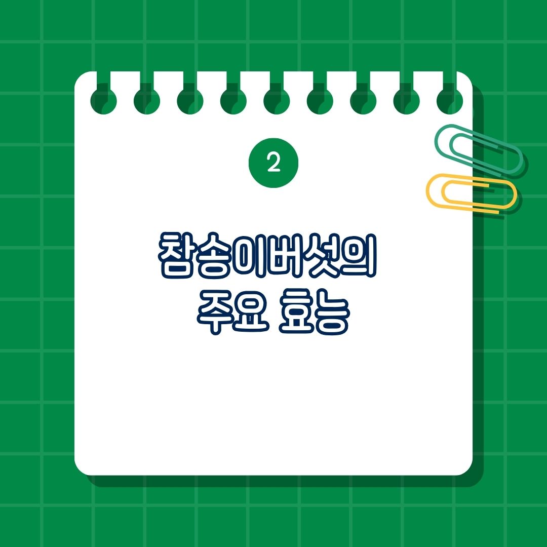 참송이버섯 주요 효능에는 면역력 강화, 항산화 효과, 심혈관 건강, 항암 효과, 소화 건강, 다이어트