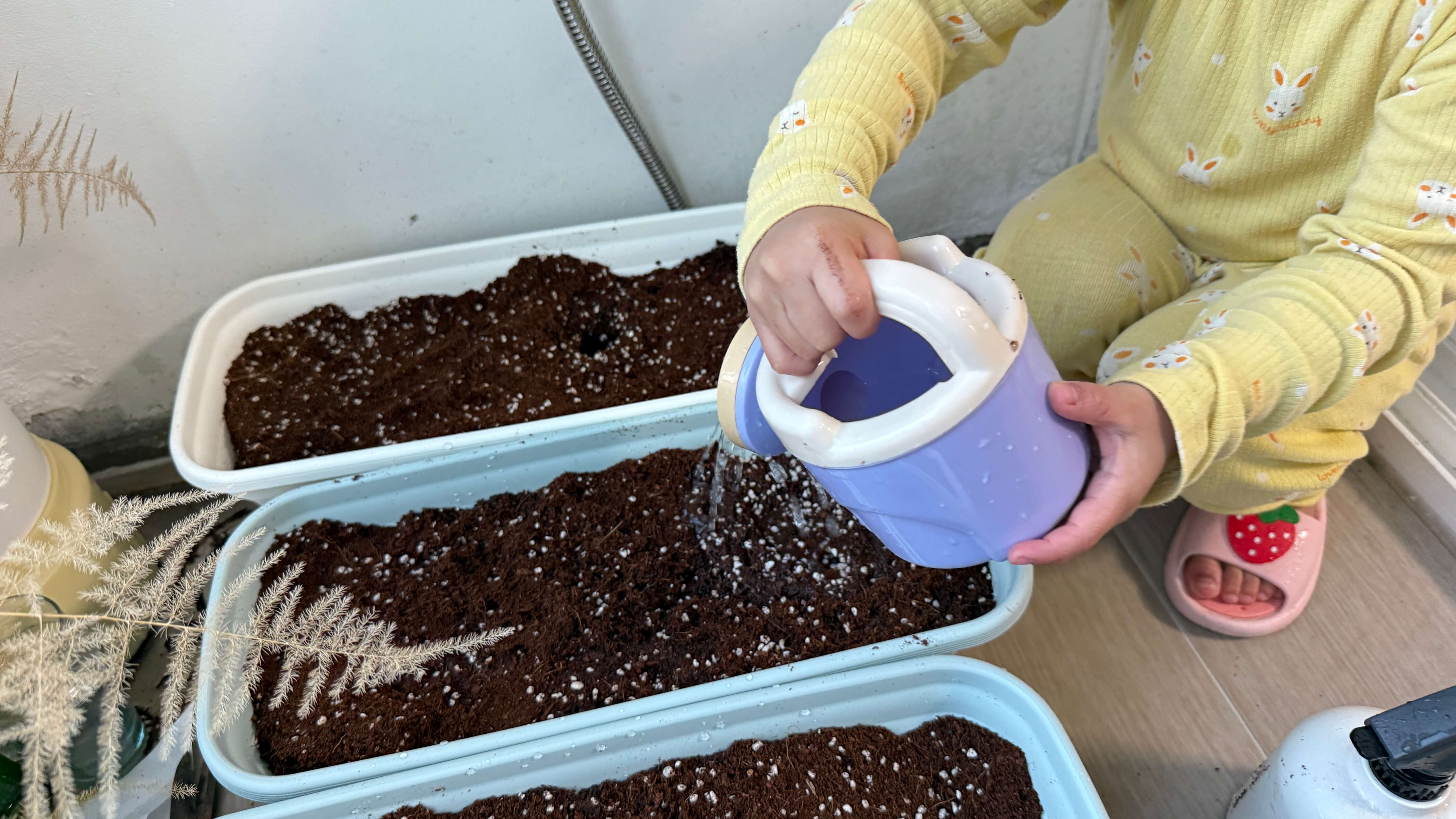 실내텃밭-물주기