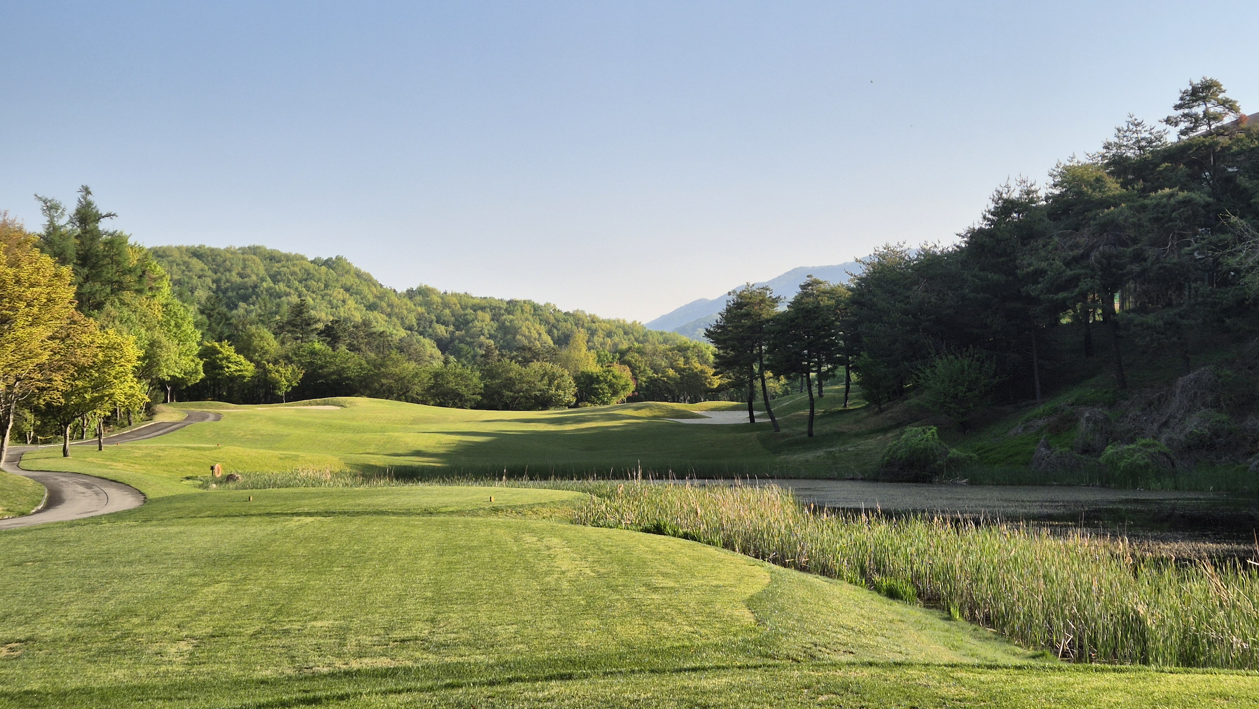 마에스트로cc 코스