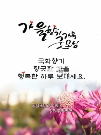 아침 인사 문자 날씨 변화에 맞춘 안부 문장 하루를 여는 표현_22