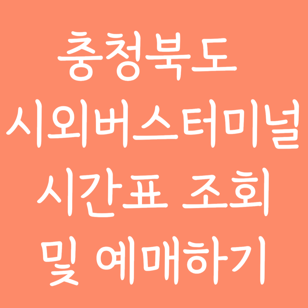 충청북도 시외버스터미널 시간표 조회 및 예매하기