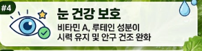상추 효능