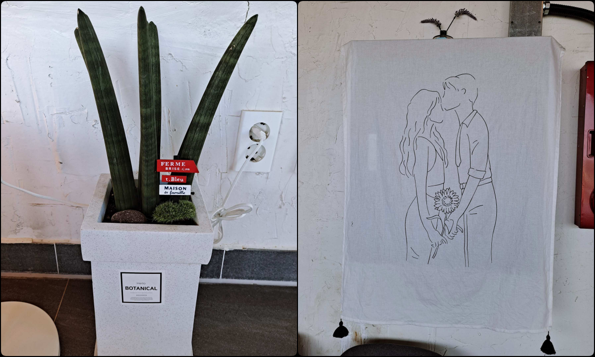 스투키화분&키스하는 남녀