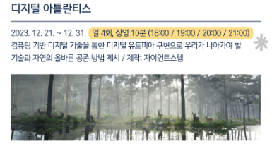 서울라이트 DDP 겨울축제 (새해맞이 카운트다운 사전예약, 크리스마스마켓)