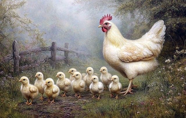 배양육의 탄소 발자국은 얼마나 적을까?