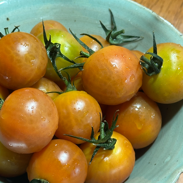 물기가 있는 애플토마토 클로즈업 된 사진