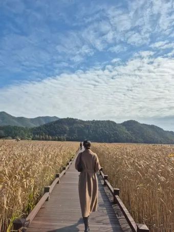 순천 가볼만한곳 베스트10 순천만 갈대밭 숨겨진 명소_11