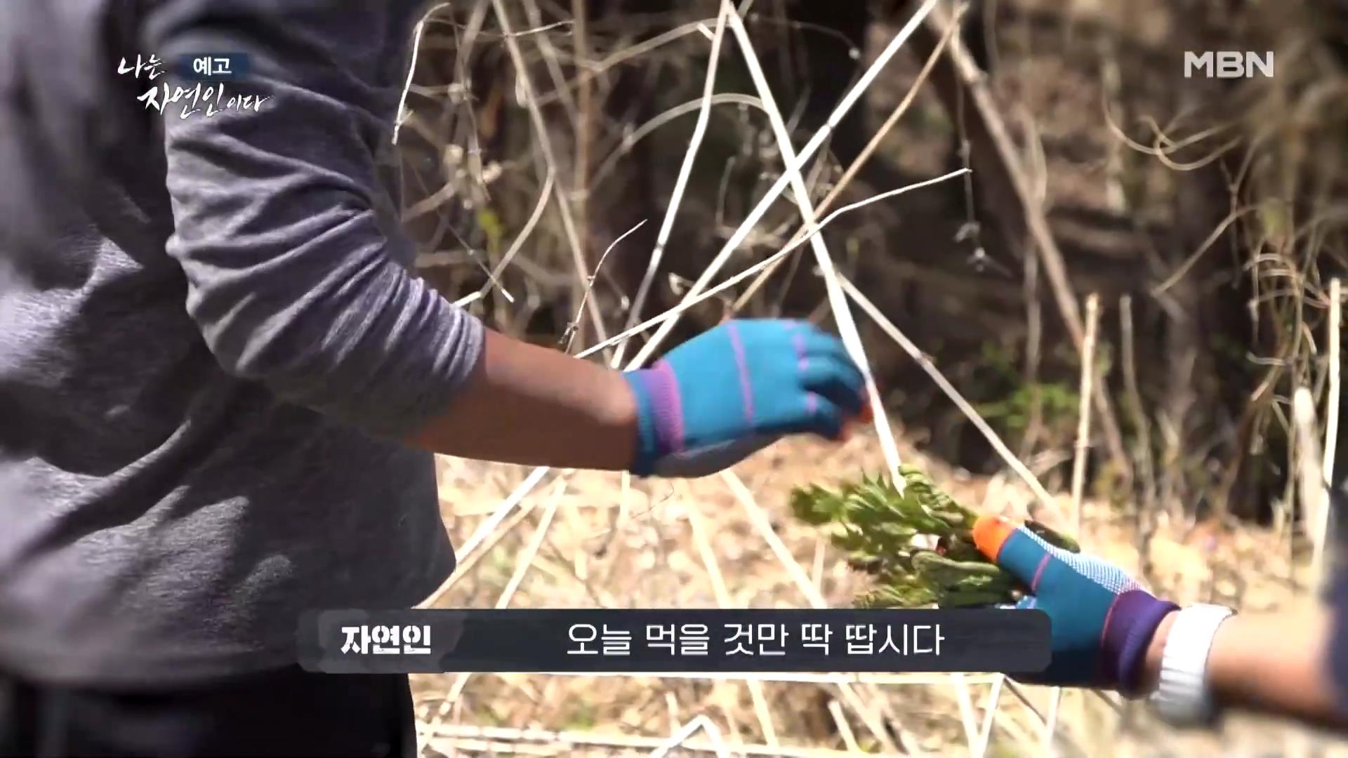나는-자연인이다-이승윤