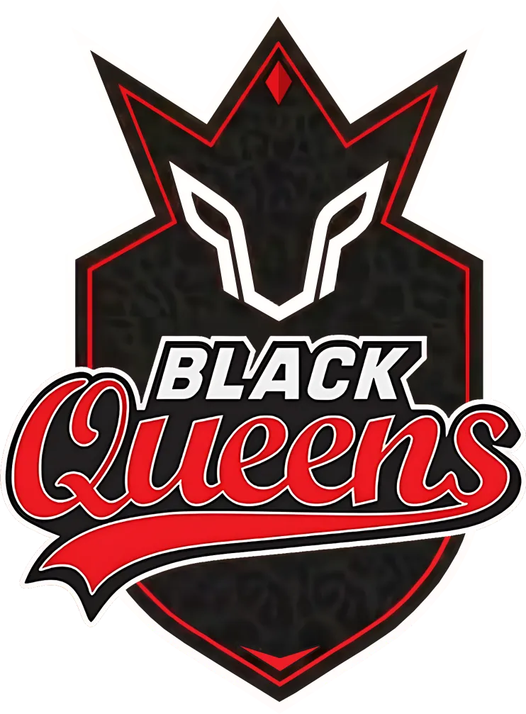 야구여왕 합류와 블랙퀸즈 포지션