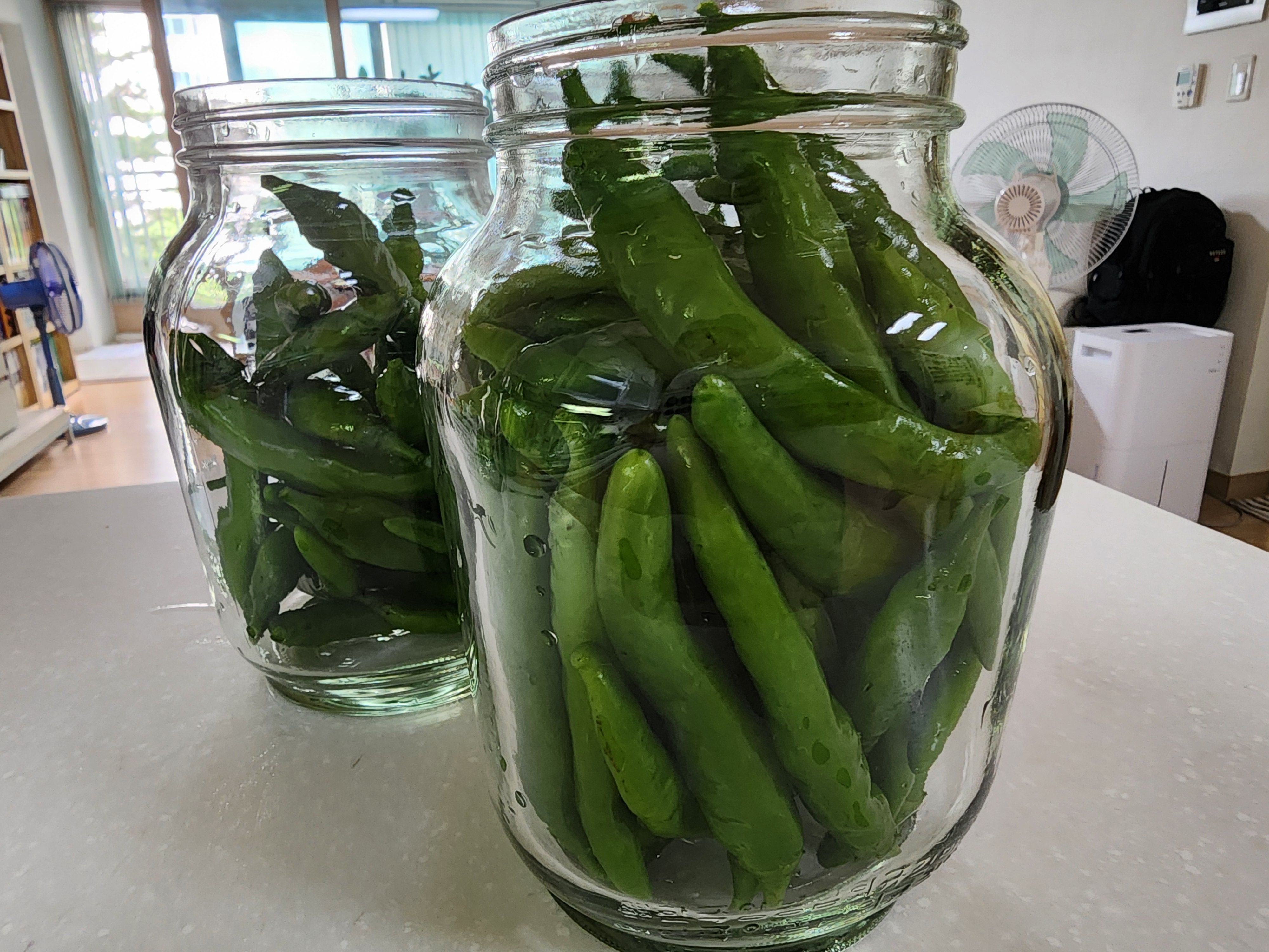 고추장아찌 담그는법, 1년동안 무르지 않게 담그는 비법
