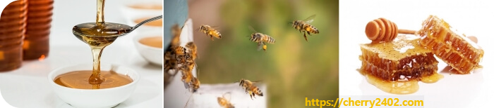 꿀의 효능과 부작용 특징