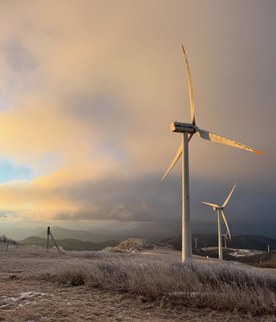 겨울 3주만 볼 수 있는 선자령 눈꽃 절경 트레킹 명소