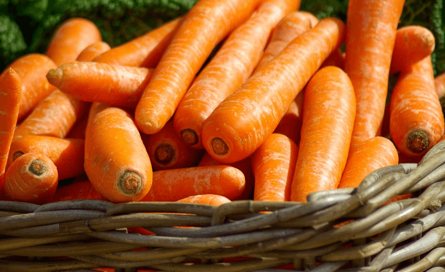 눈 건강에 좋은 음식 당근