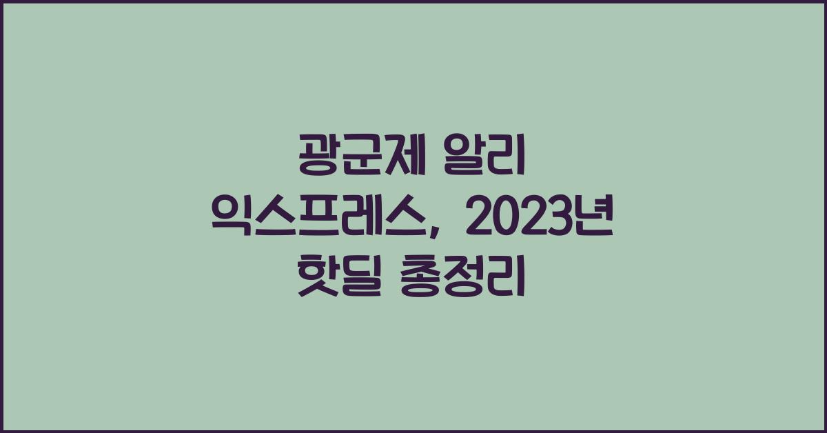 광군제 알리 익스프레스