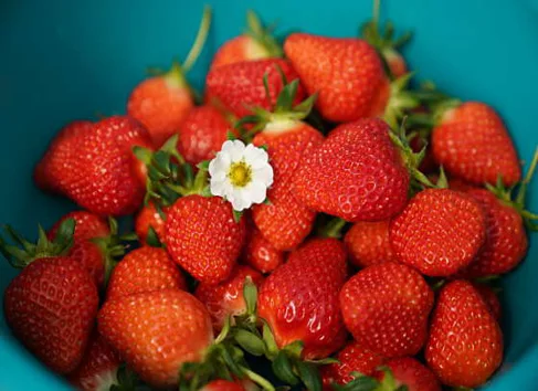 공주산림휴양마을