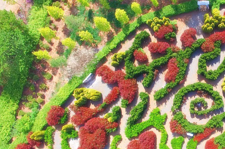 태안 청산수목원