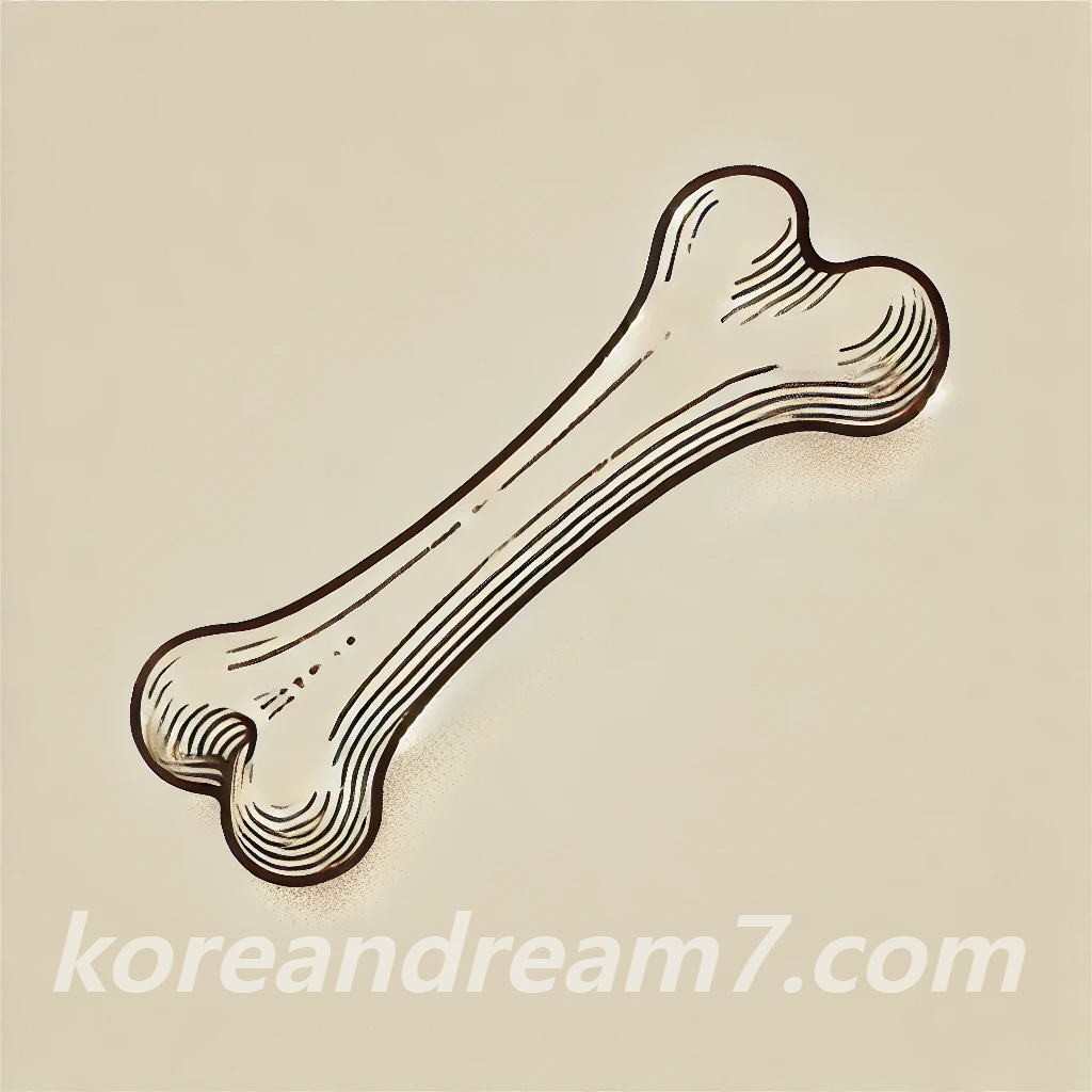 사람뼈 꿈해몽