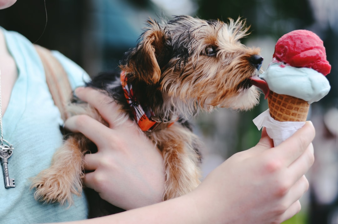 Ice Cream