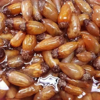 미더덕 찜국 미더덕회 미더덕철 오만둥이 레시피_8