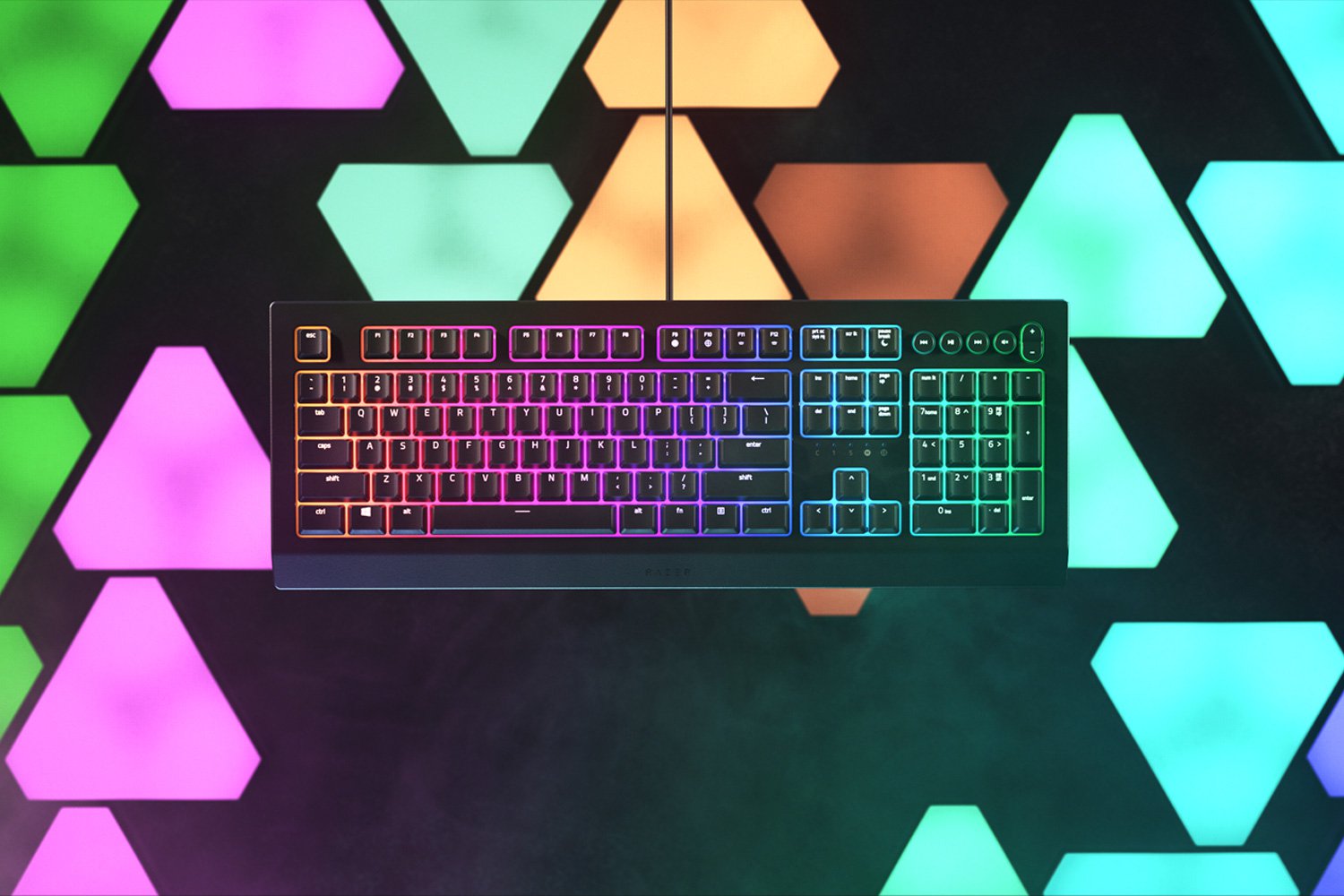 Razer Cynosa V2