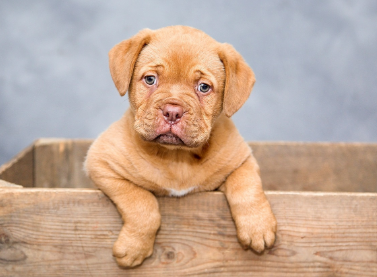 2025년 5월 31일 띠별 오늘의 운세