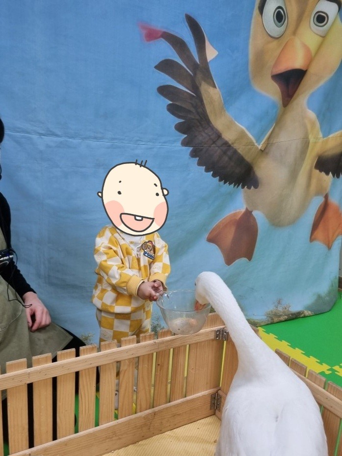 동물 체험을 하는 아이