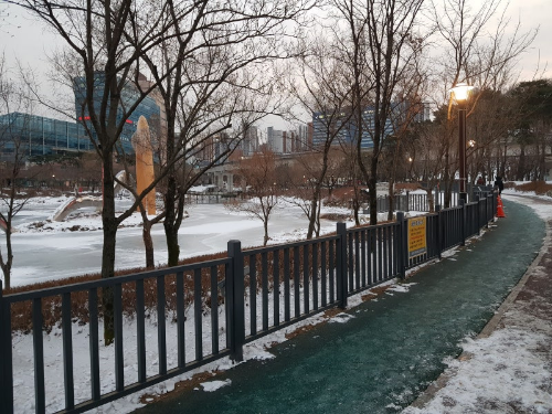 용인 반려견 산책 어디가 좋을까? 겨울에도 걷기 좋은 명소 추천