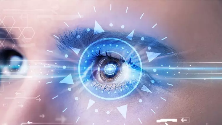 눈 건강 개선(Eye Health Improvement)
