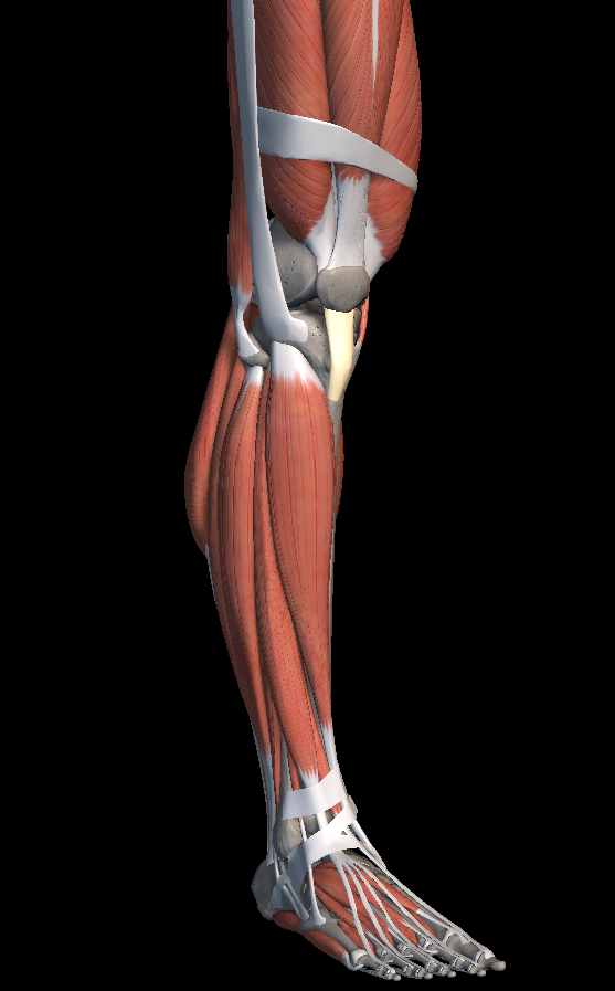 무릎 앞쪽 통증 원인 증상 치료법 알아보자