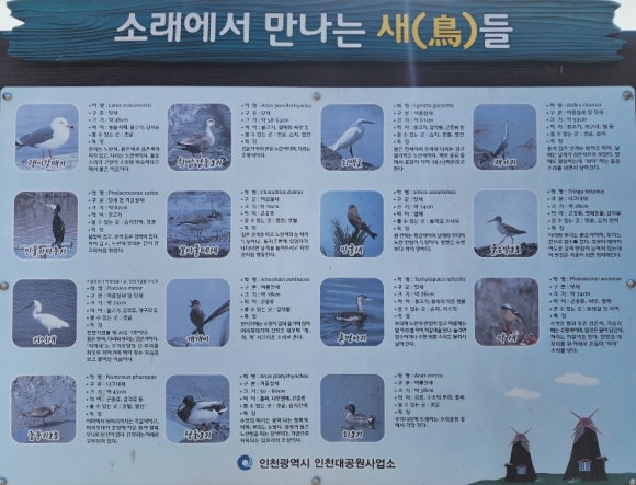 소래포구