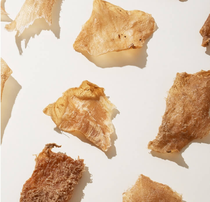 국가동물보호정보시스템