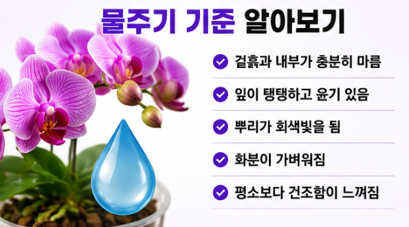 물주기 기준