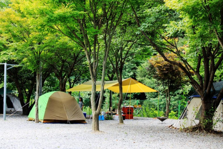 가평 '맑은물소리캠핑장' 미리보기