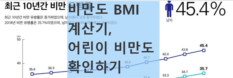 비만도 계산기