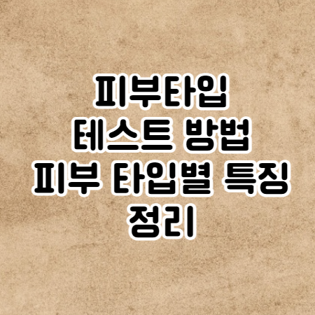 피부타입 테스트 방법과 피부 타입별 특징 정리