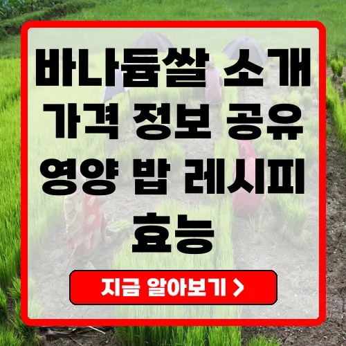 바나듐쌀의 효능과 가격, 조리법 총정리