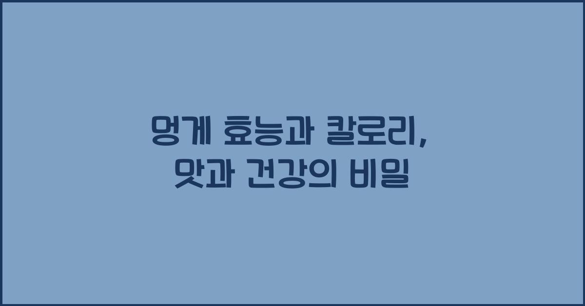 멍게 효능