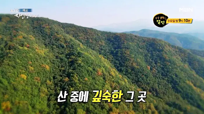 나는-자연인이다-이승윤