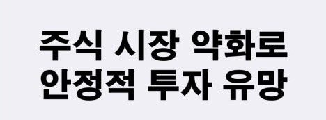 안정적 투자 유망