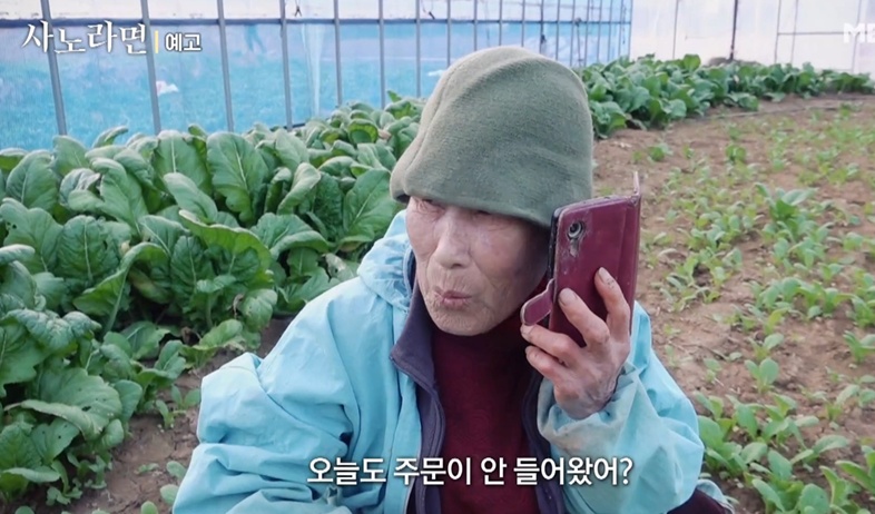 사노라면-오뚝이-여수-돌산-갓김치