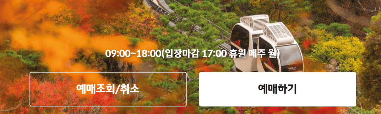 화담숲 예약 화담채 모노레일 단풍시기 꿀팁